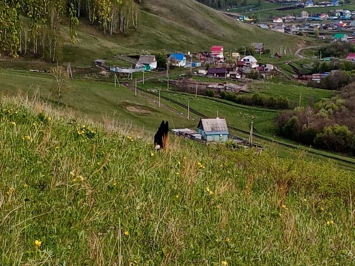 Гостевой дом Азналина